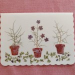 Divya and Metali Atkins, Pressed Flowers