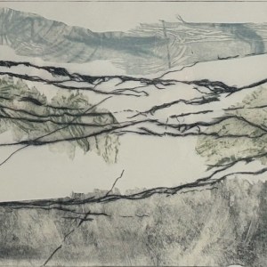 Carol Baines, Wild Hills