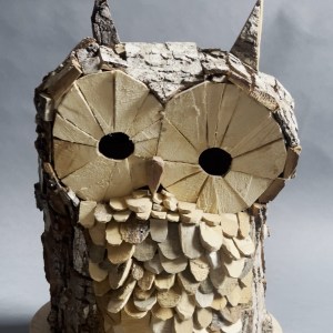 David Janes, Owl
