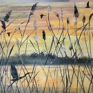 Jessica Palmer, untitled