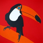Kate McDonnell, Toco Toucan
