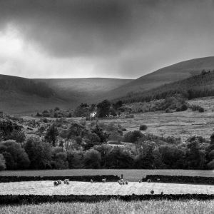 Richard Ford, Valley & Sheep